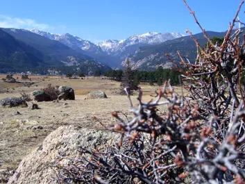 Rocky Mountain National Park